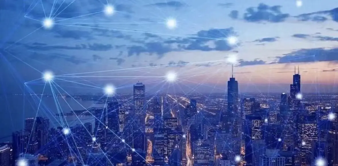 河南大学王淑雅简介